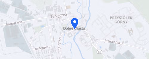 Dobromiejski Festiwal Biegow