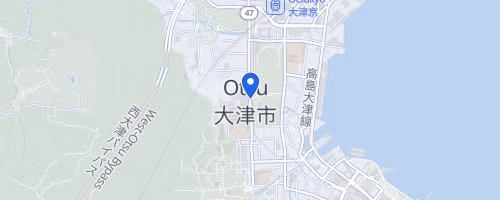 Lake Biwa 100