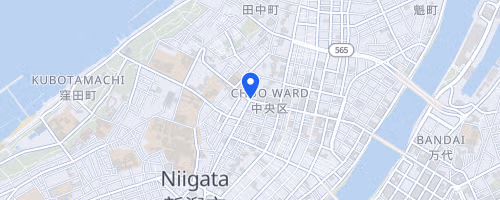 Niigata City Marathon