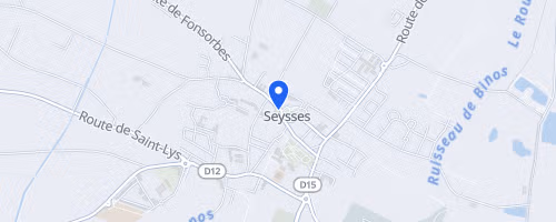 La foulée pour la vie - Seysses