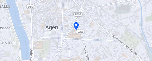 Les foulées du petit bleu - Agen