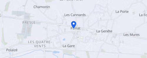Foulée de la Veyle - Polliat