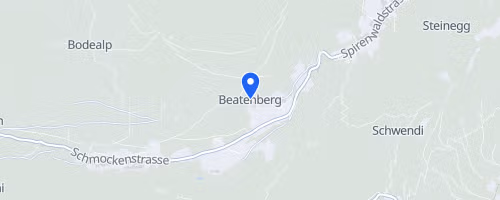 Niederhorn Berglauf