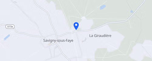 La ruée savignoise - Savigny-sous-Faye