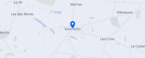 Foulées Saulnieroises - Saulnieres