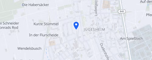 46. Winterlaufserie Rodgau Jügesheim (1)