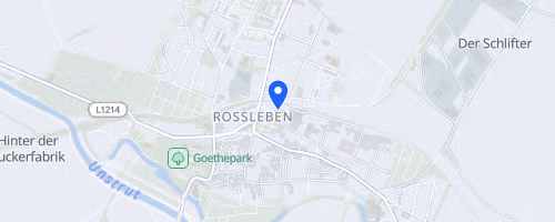 Hohe Schrecke Waldlauf