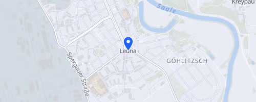 Leunaer Saaleanlagenlauf