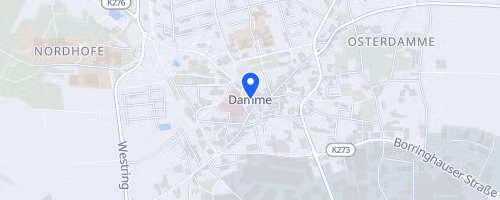 24. Dammer Stadtlauf